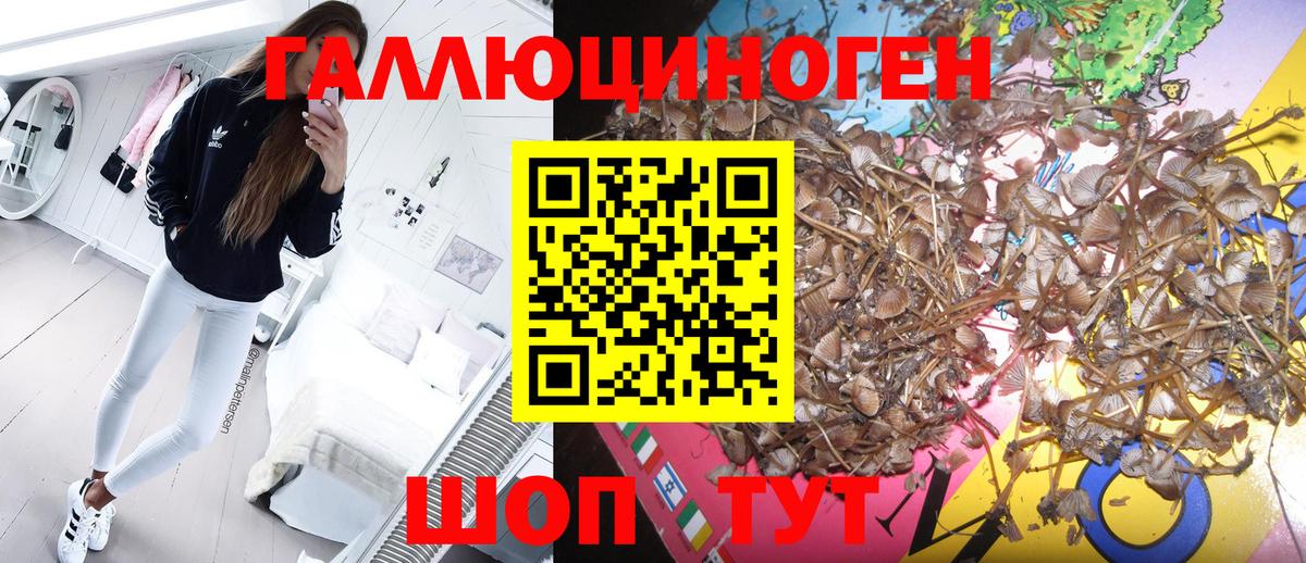 Галлюциногенные грибы Cubensis Москва